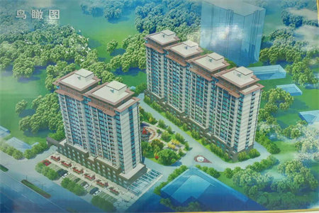 可按揭精装毛坯价万象城九龙苑南北通透大3房有钥匙随看